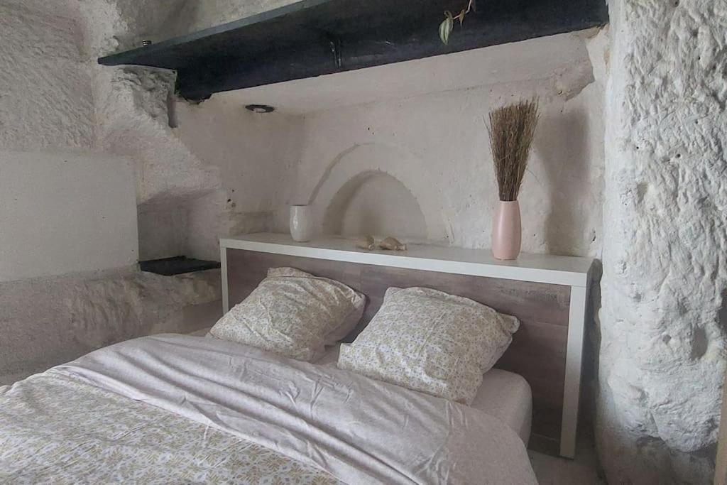 Troglo Entre Caves Et Chateaux Montlouis-sur-Loire Exteriör bild