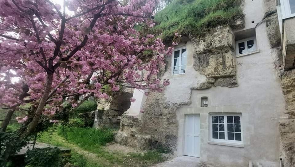 Troglo Entre Caves Et Chateaux Montlouis-sur-Loire Exteriör bild